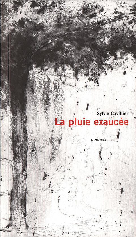 La pluie exaucée