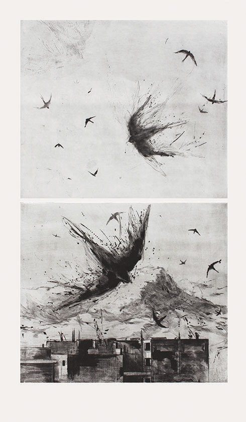 Hirondelles / Swallows
